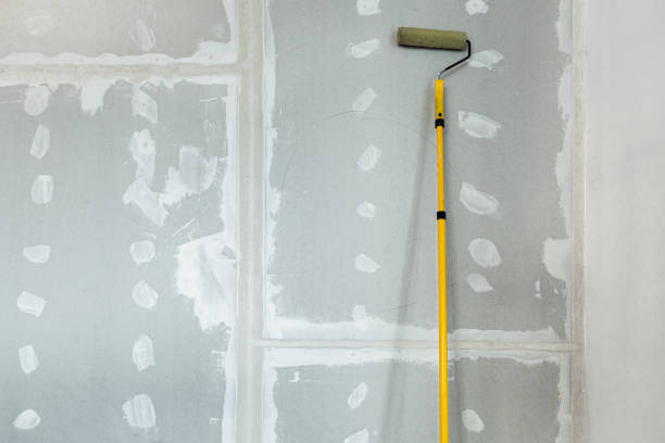 Reliable Fort Myers, FL Mold Removal Solutions