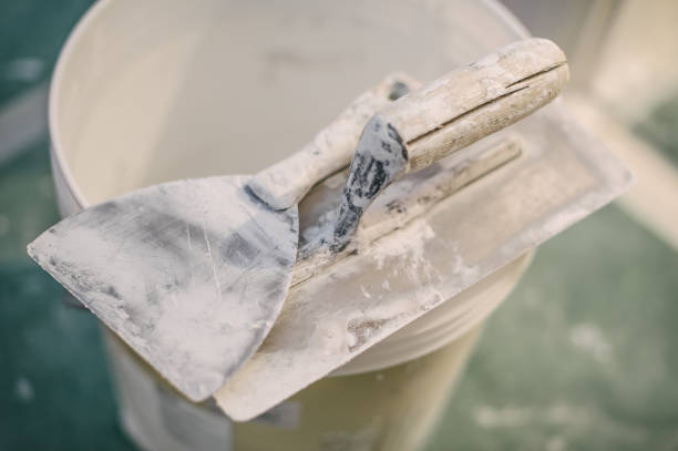 Best Mold Odor Removal Services  in Fort Myers, FL