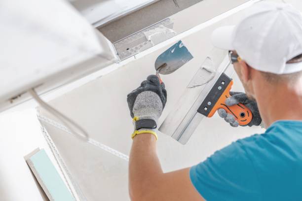 Best Mold Remediation for Healthcare Facilities  in Fort Myers, FL